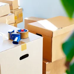 bornova evden eve asansörlü nakliyat