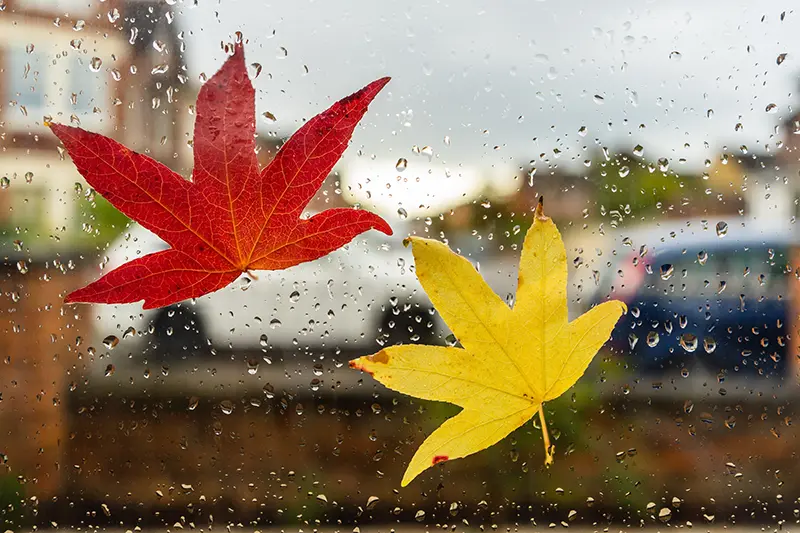 ev taşımak için en uygun mevsim hangisi